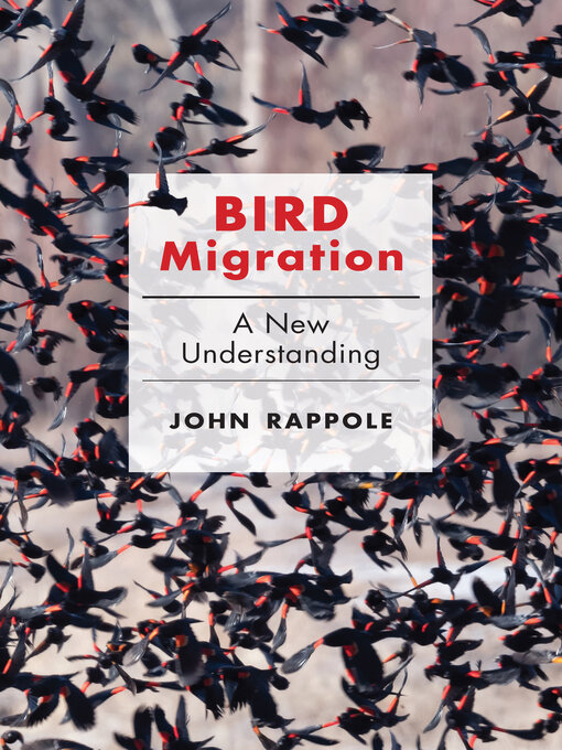Cover image for Bird Migration